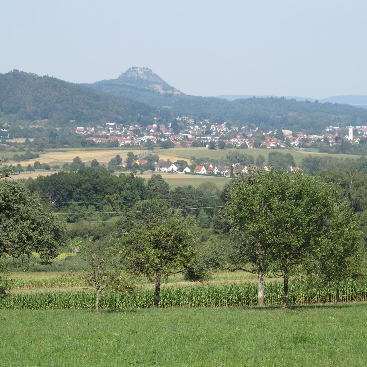 Bodensee Hegau غوتمادينغين المظهر الخارجي الصورة