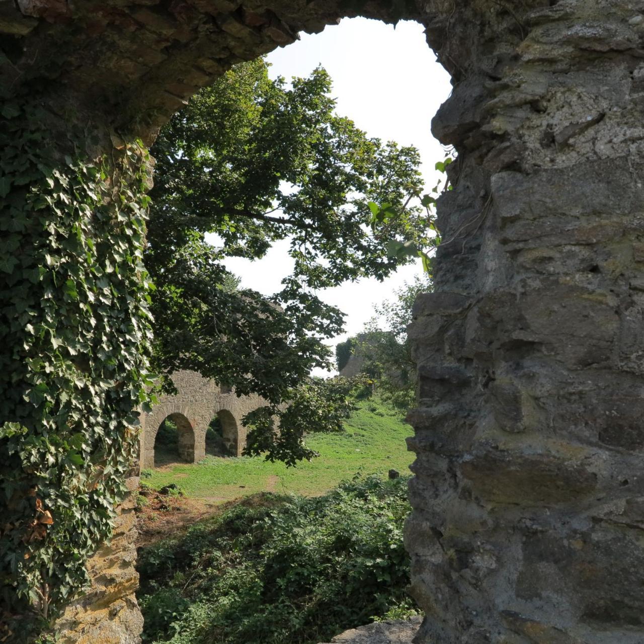 Bodensee Hegau غوتمادينغين المظهر الخارجي الصورة